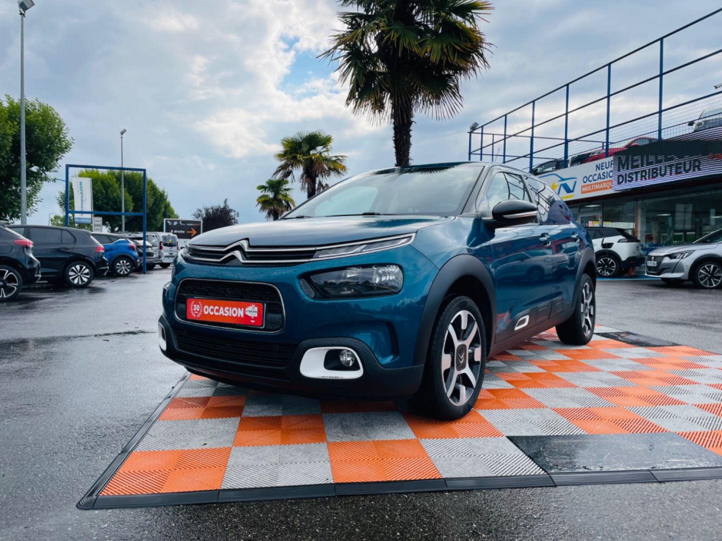 CITROEN C4 CACTUS - PURETECH 110 BV6 SHINE (2018)